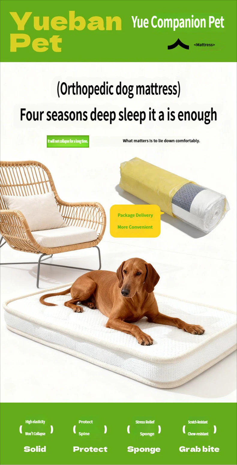 Orthopedic Dog Bed for Senior & Disabled Pets