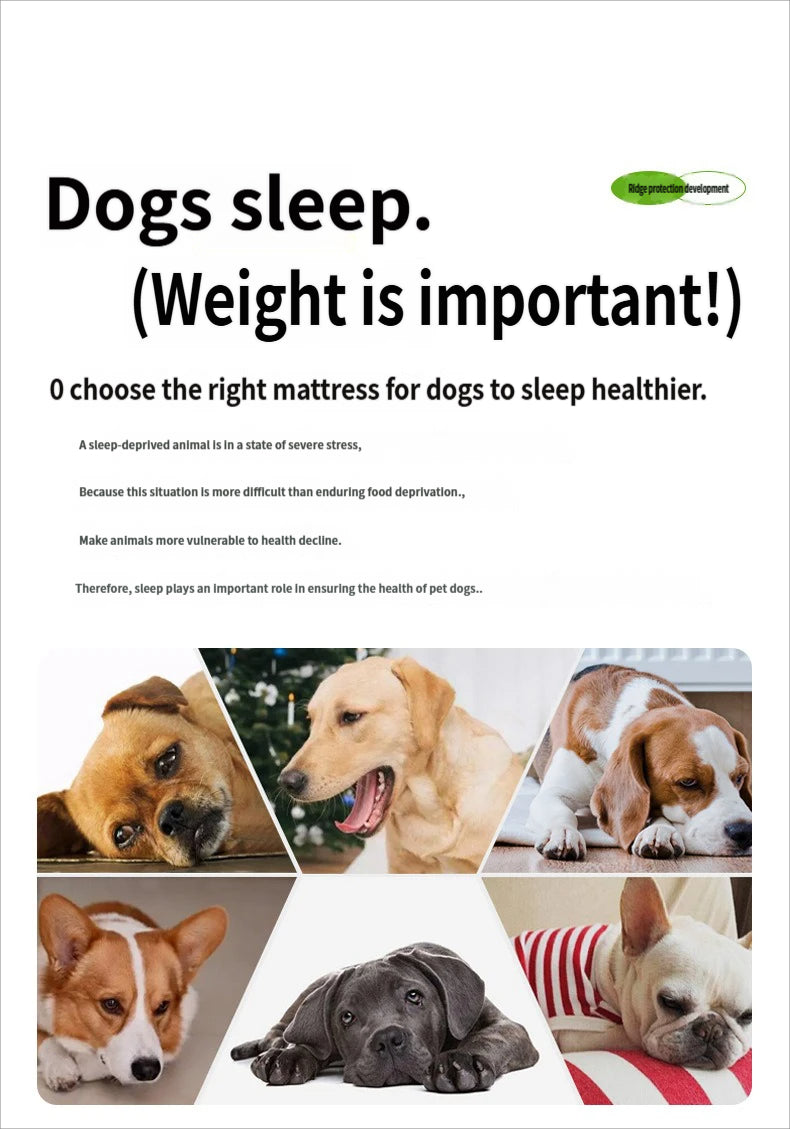 Orthopedic Dog Bed for Senior & Disabled Pets