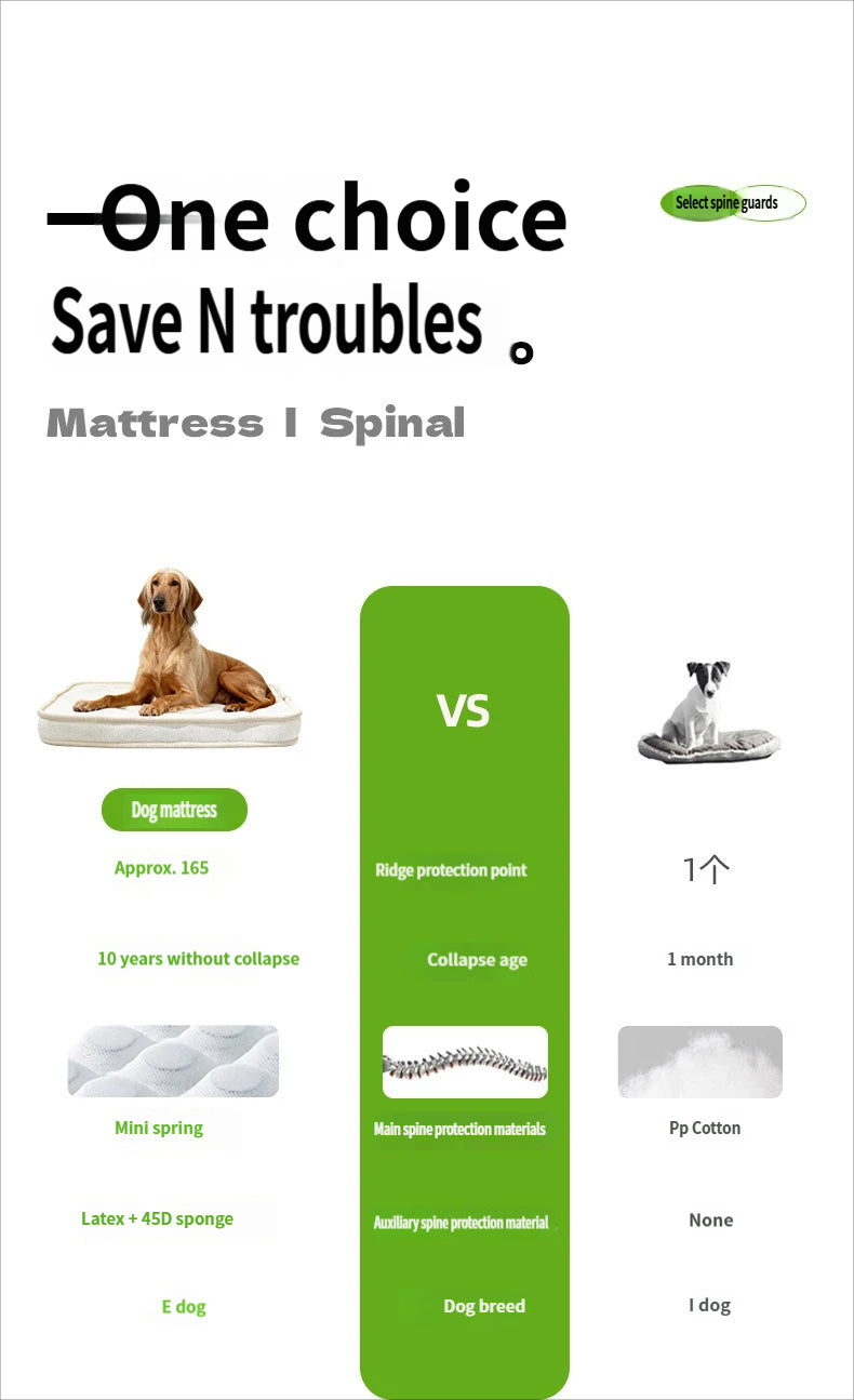 Orthopedic Dog Bed for Senior & Disabled Pets