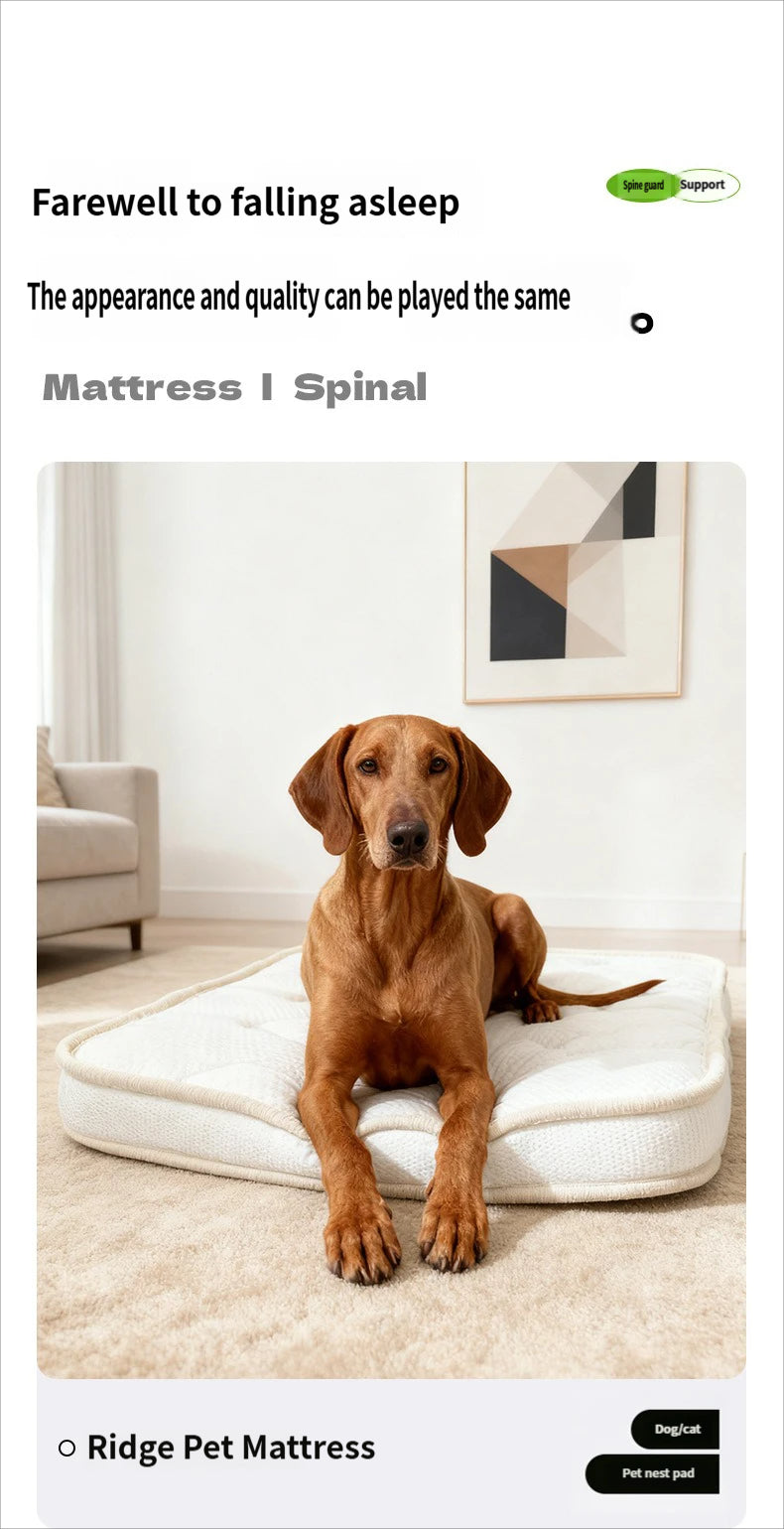 Orthopedic Dog Bed for Senior & Disabled Pets