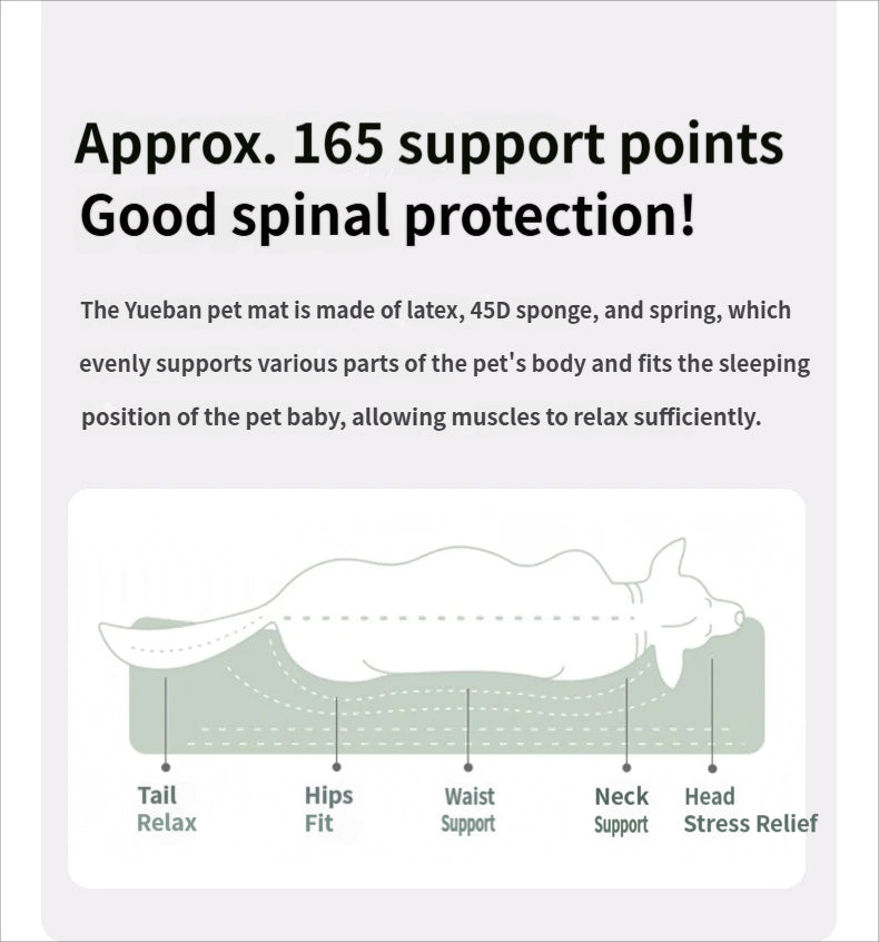 Orthopedic Dog Bed for Senior & Disabled Pets